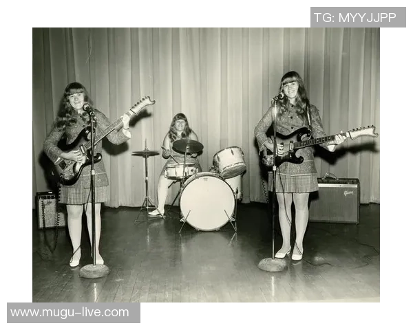 斯通斯的传奇之旅：从摇滚先锋到文化象征的变迁与影响