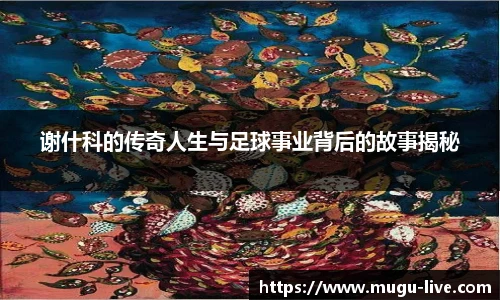 咪咕体育